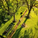 Luchtfoto van Nederlandse tuin met professionele boomverzorging, nette heggen, tulpenbedden en typische architectuur in zonlicht.