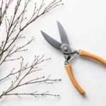 Snoeischaar met houten handvat diagonaal geplaatst op witte ondergrond met kale takken in winterlicht