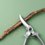 Professionele snoeischaar snijdt door dikke boomtak op groene achtergrond, bovenaanzicht met houtstructuur zichtbaar