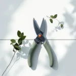 Snoeischaar diagonaal over eigendomsgrens met verzorgde en overwoekerde takken op witte achtergrond