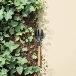 Minimalistische tuinscène: overgegroeide tuin tegenover nette lege tuin met tuingereedschap op de scheidingslijn