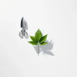 Tuingereedschap symmetrisch gerangschikt van bovenaf met snoeischaar, schepje en heggeschaar op witte achtergrond met groen bladApproximately 198,850 tokens remaining in budget.