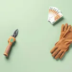 Tuingereedschap en euro bankbiljetten symmetrisch gerangschikt op groene achtergrond, professioneel tuinonderhoud concept