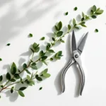 Professionele snoeischaar op witte achtergrond met vers gesneden groene takken in geometrisch patroon