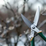 Snoeischaar met groene handvatten in scherpe focus tegen wazige winterse takken op de achtergrond