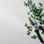 Professionele snoeischaar op betonnen ondergrond met verse groene takjes en klok voor tuinonderhoudsdiensten